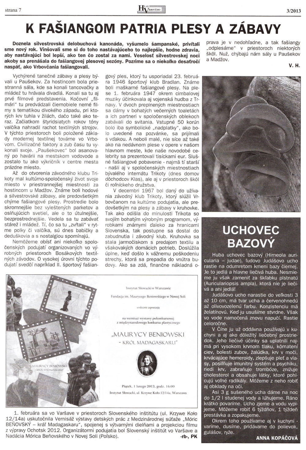 Hlas Vrbového 03/2013, strana 7